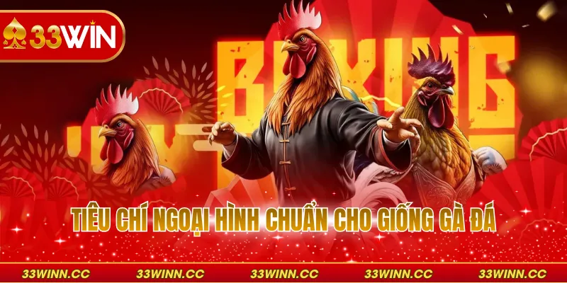 Tiêu chí ngoại hình chuẩn cho giống gà đá